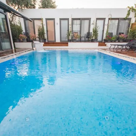 The Summer Sun Turgutreis Αλικαρνασσός